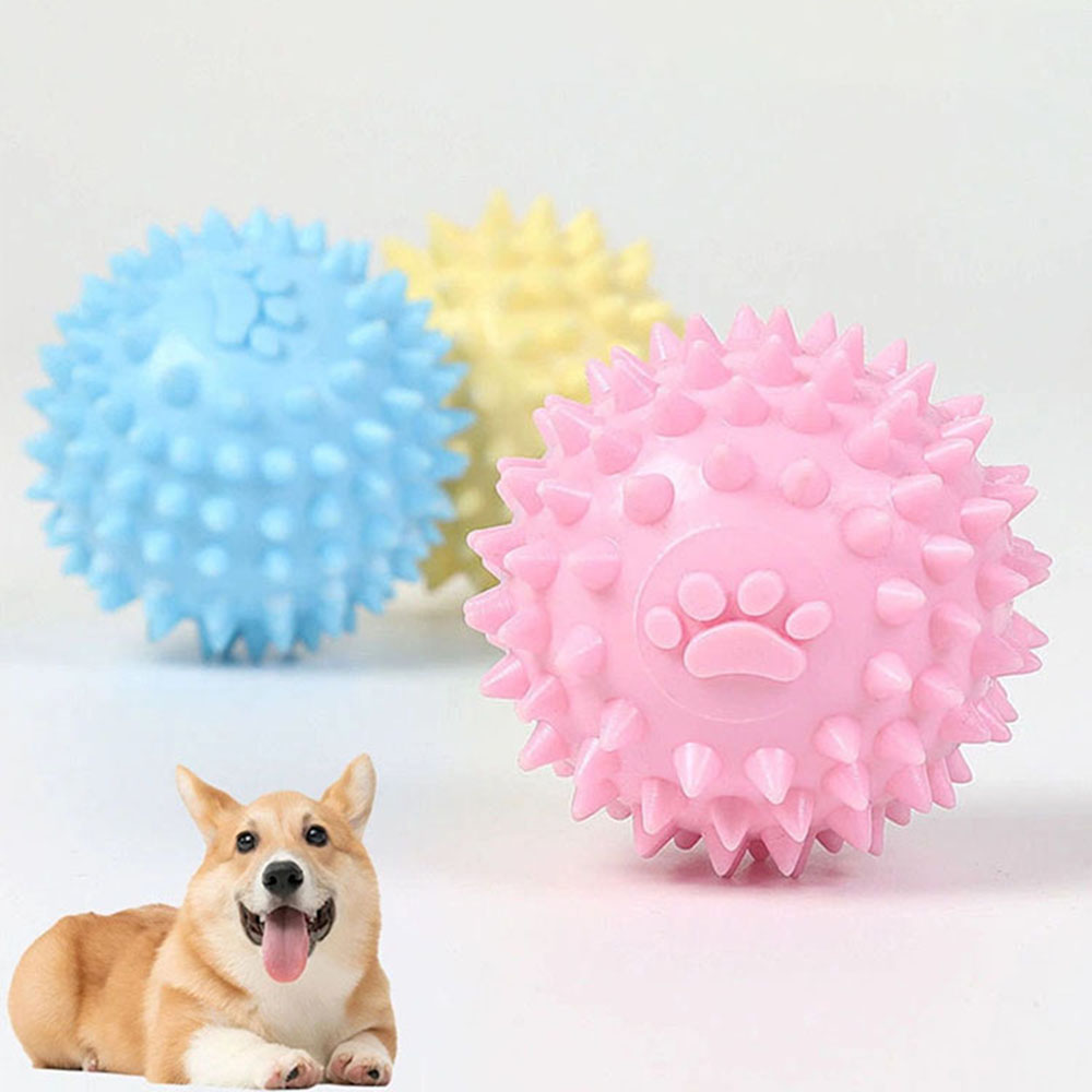 Dog Chew Toy Footprint Spiked  - Spike Ball Game recensione e prezzo
