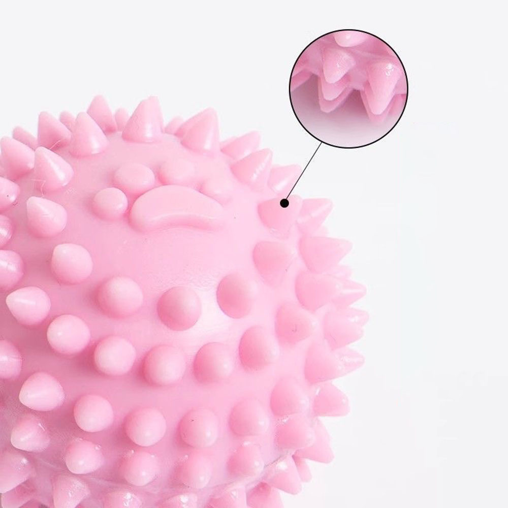 Dog Chew Toy Footprint Spiked  - Spike Ball Game recensione e prezzo