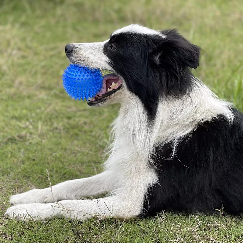 TPR Squeaky Spiked Dog Ball Ch - Spike Ball Game recensione e prezzo