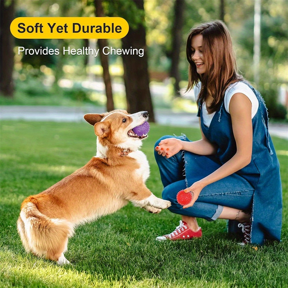 6pcs Dog Toy Balls, Non-Toxic, - Spike Ball Game recensione e prezzo