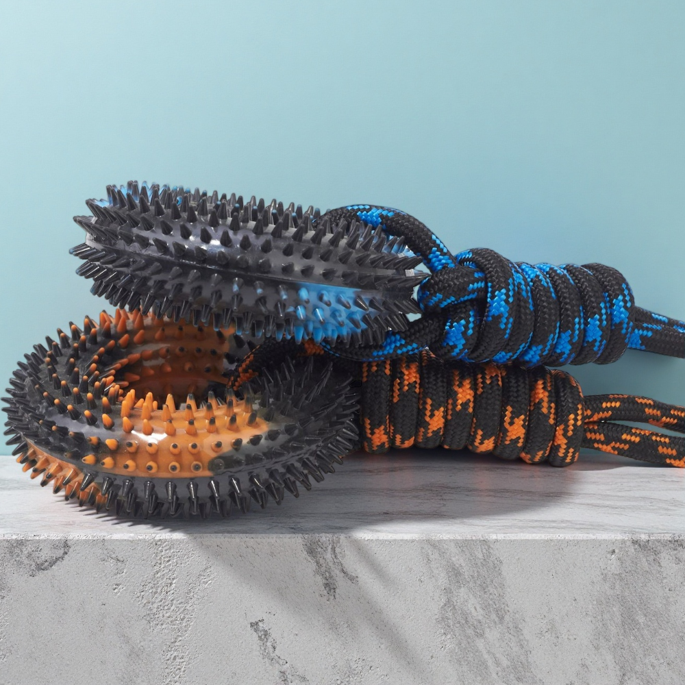 Interactive Tug Chew Toy: Knot - Spike Ball Game recensione e prezzo